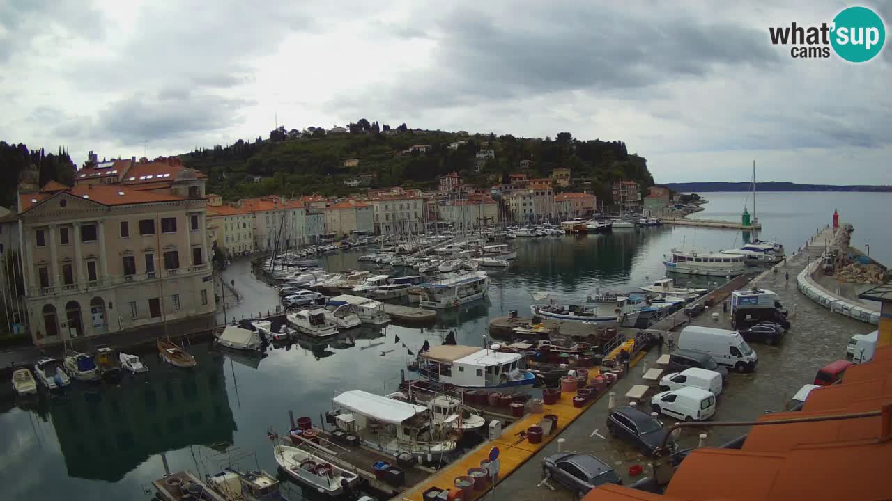 Live webcam da Pirano “Mandrač” – Splendida vista live da Villa Piranesi