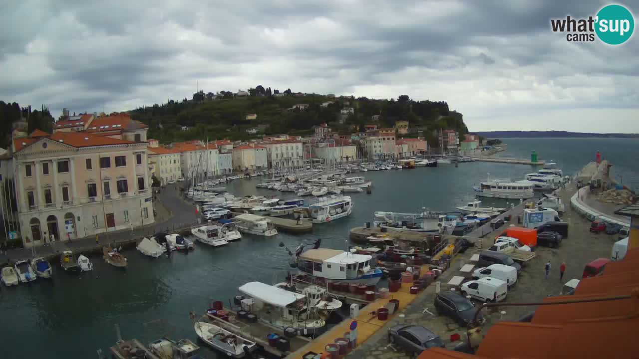 Live webcam da Pirano “Mandrač” – Splendida vista live da Villa Piranesi