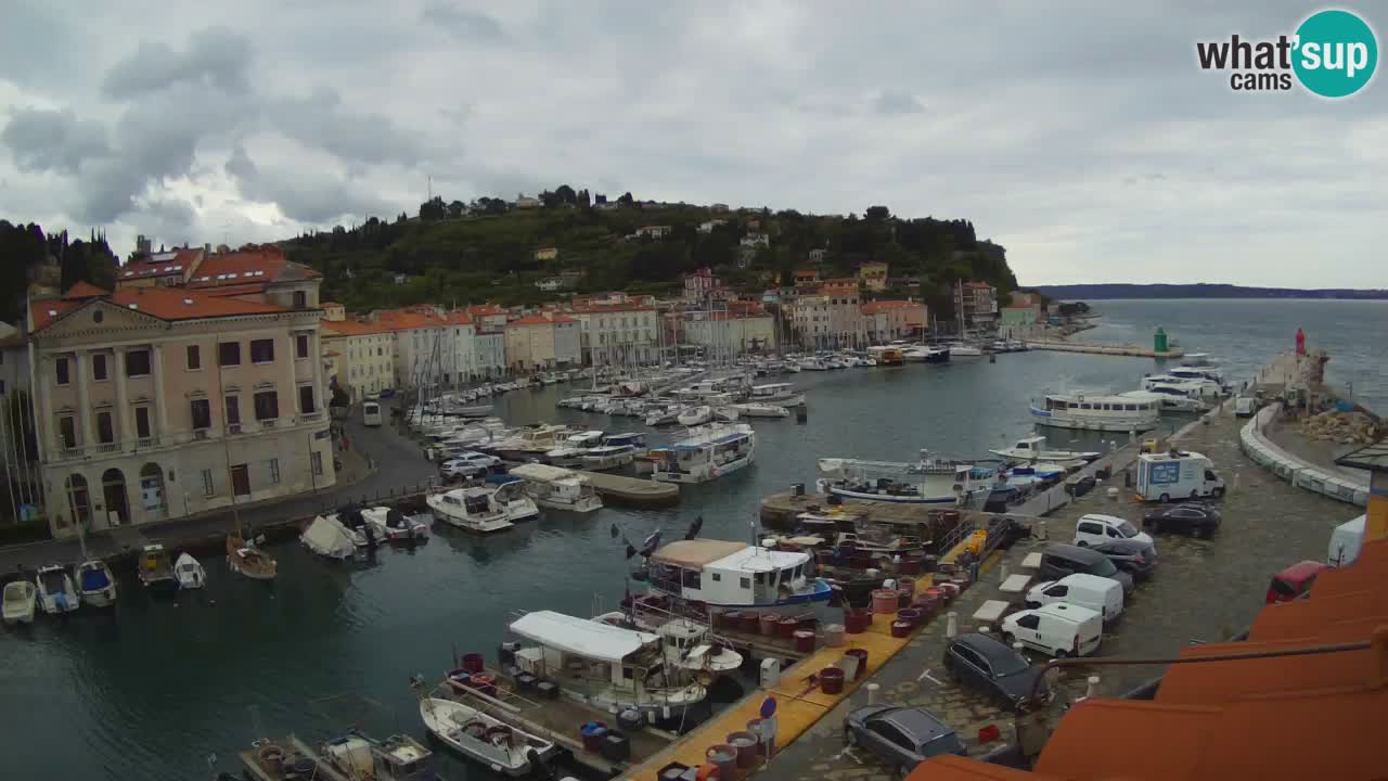 Live webcam da Pirano “Mandrač” – Splendida vista live da Villa Piranesi