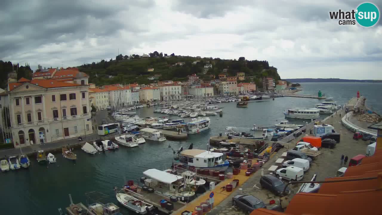 Live webcam da Pirano “Mandrač” – Splendida vista live da Villa Piranesi