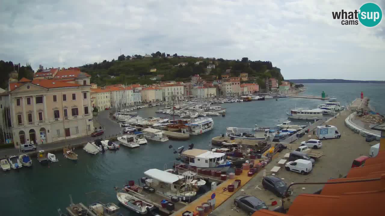 Live webcam from Piran “Mandrač” – Amazing live view from Villa Piranesi