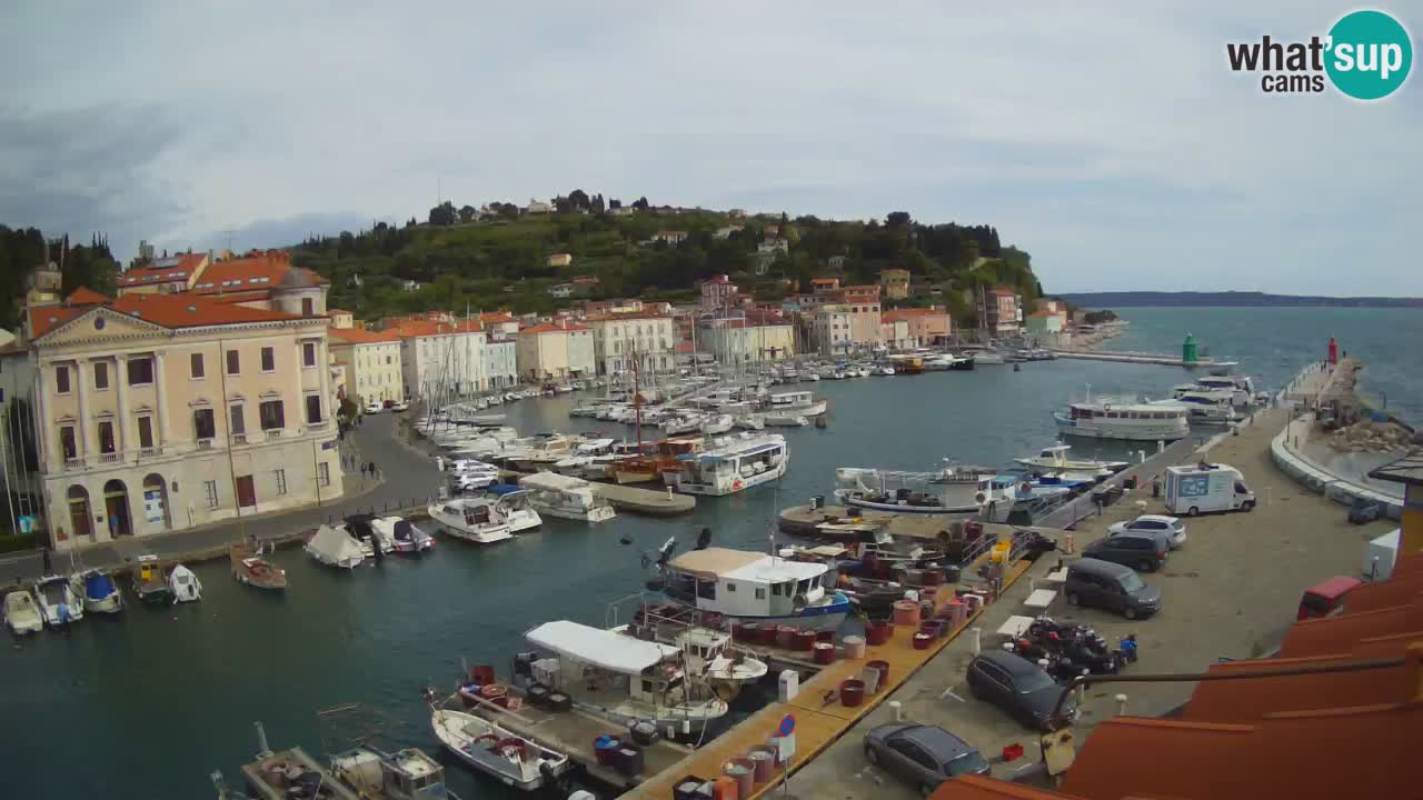 Live webcam from Piran “Mandrač” – Amazing live view from Villa Piranesi