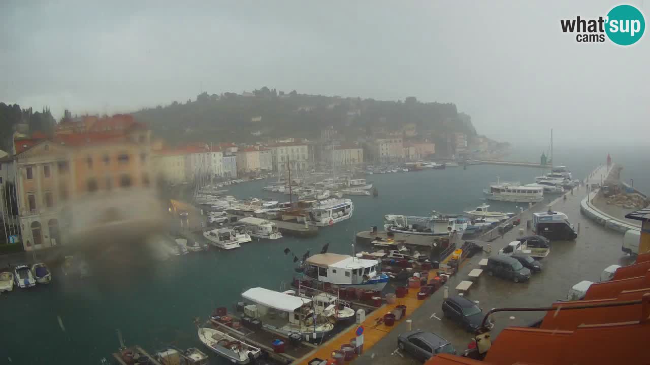 Live-Webcam aus Piran “Mandrač” – Erstaunliche Live-Ansicht von Villa Piranesi