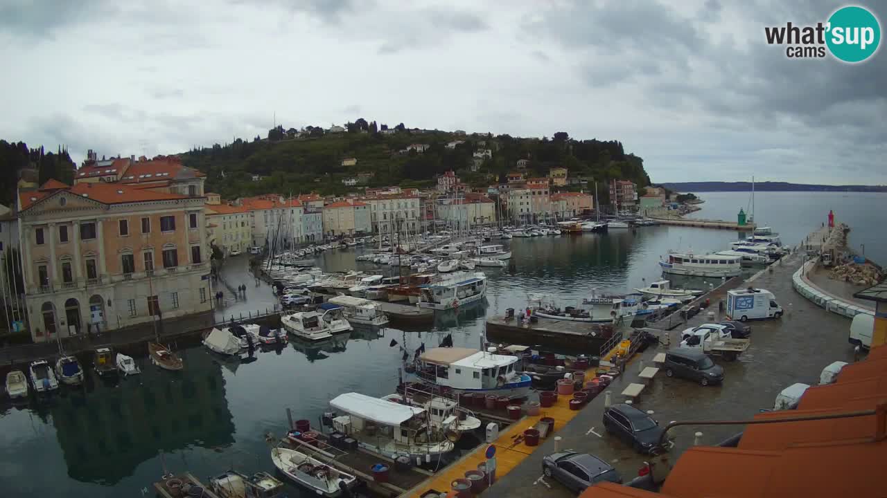 Live webcam da Pirano “Mandrač” – Splendida vista live da Villa Piranesi