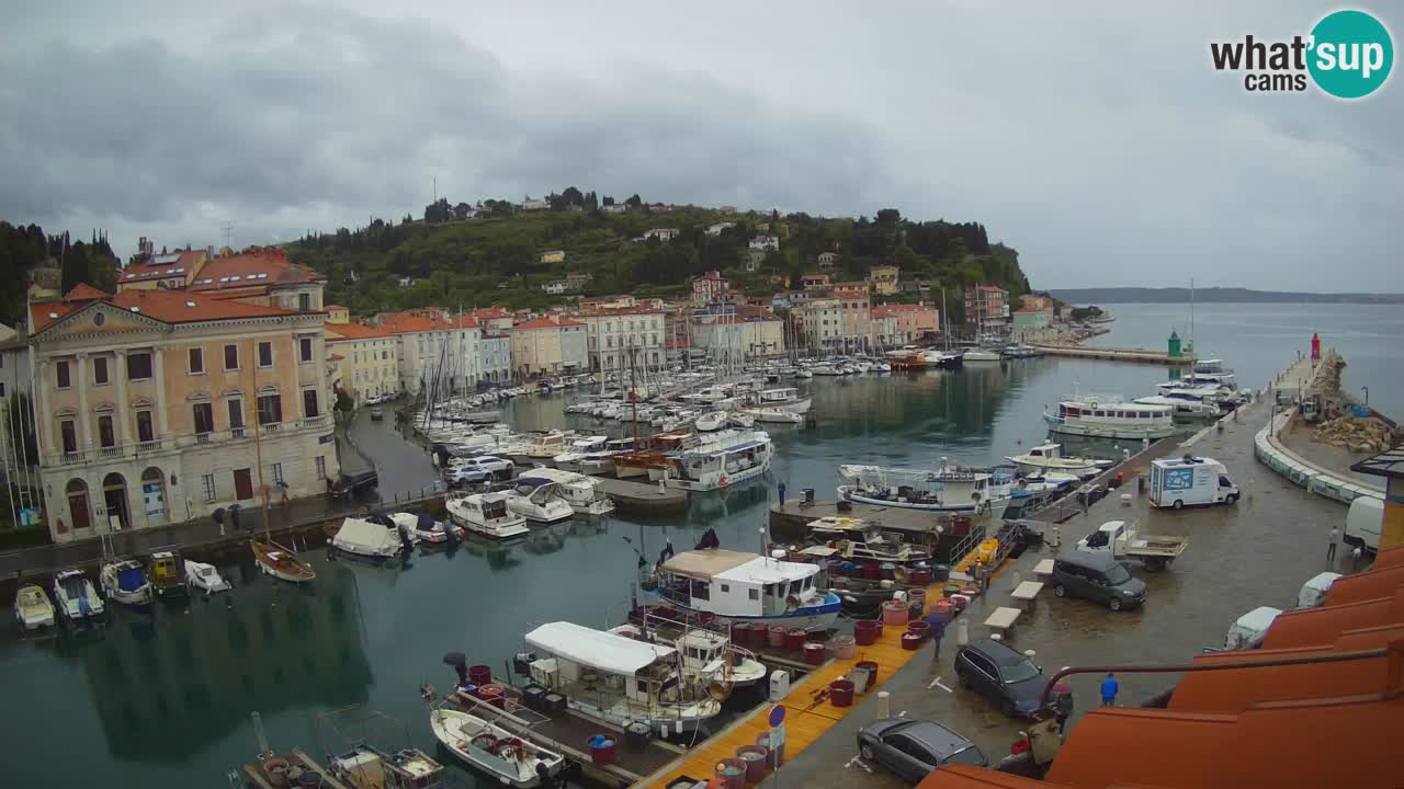 Iz Pirana Spletna kamera v živo “Mandrač” – Neverjeten pogled v živo iz Vile Piranesi