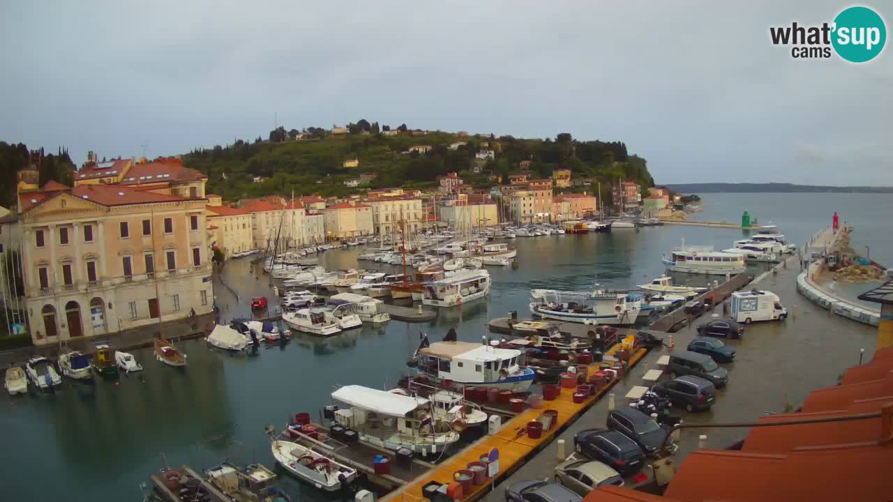 Live-Webcam aus Piran “Mandrač” – Erstaunliche Live-Ansicht von Villa Piranesi