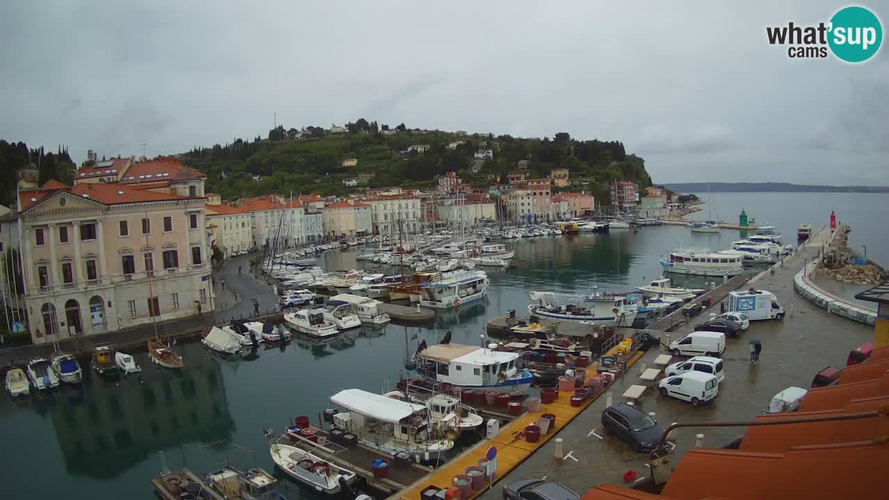 Webcam en direct de Piran “Mandrač” – Incroyable vue en direct de la Villa Piranesi