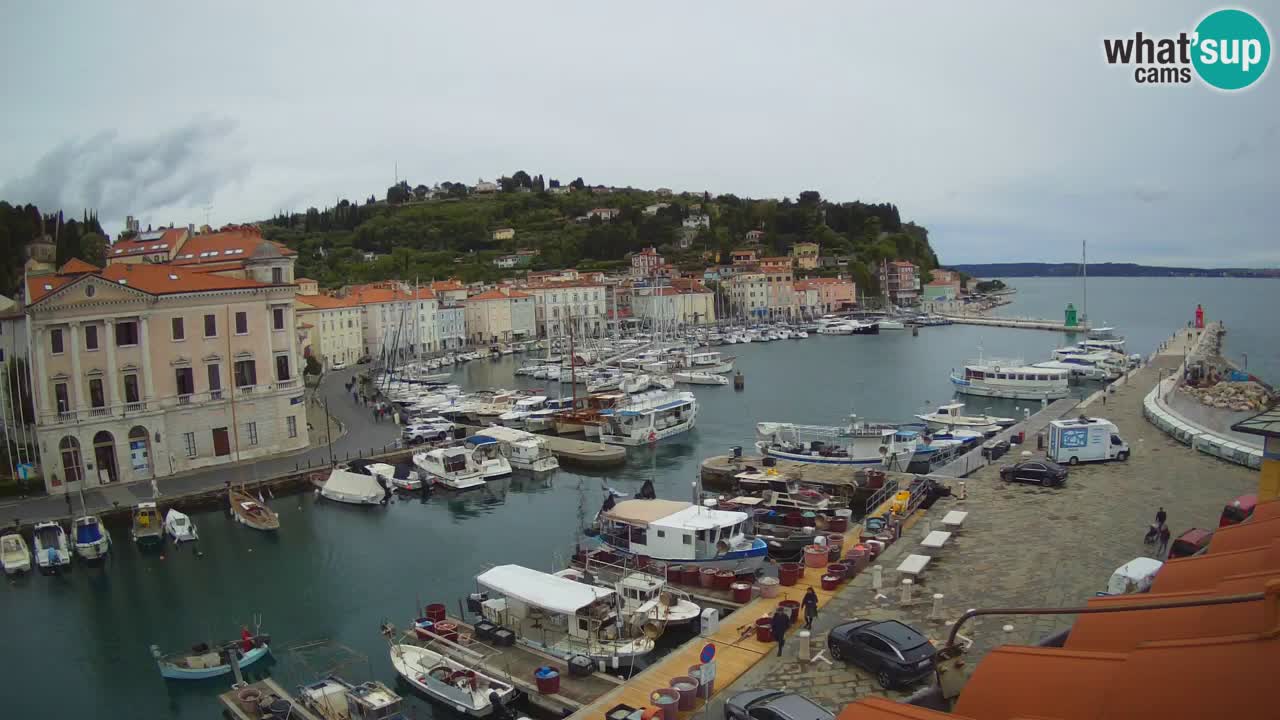 Webcam en direct de Piran “Mandrač” – Incroyable vue en direct de la Villa Piranesi