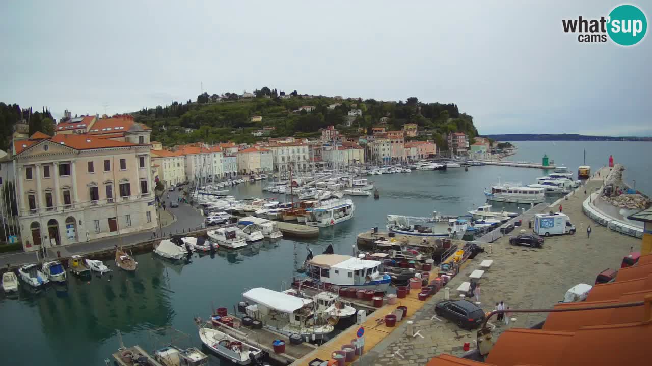 Live webcam from Piran “Mandrač” – Amazing live view from Villa Piranesi