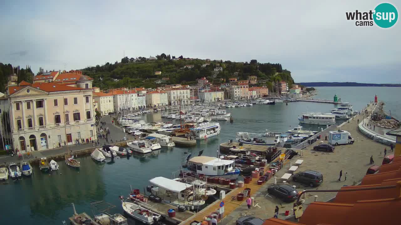 Live webcam from Piran “Mandrač” – Amazing live view from Villa Piranesi