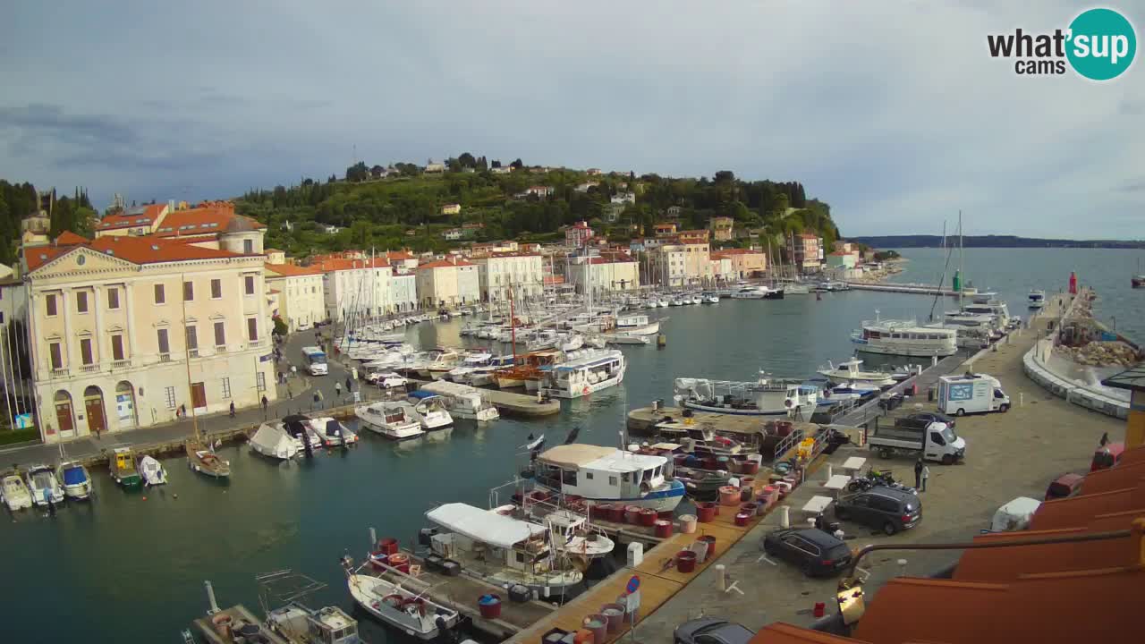 Live webcam da Pirano “Mandrač” – Splendida vista live da Villa Piranesi