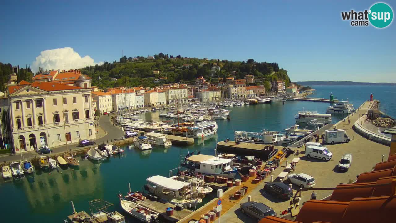 Live webcam da Pirano “Mandrač” – Splendida vista live da Villa Piranesi