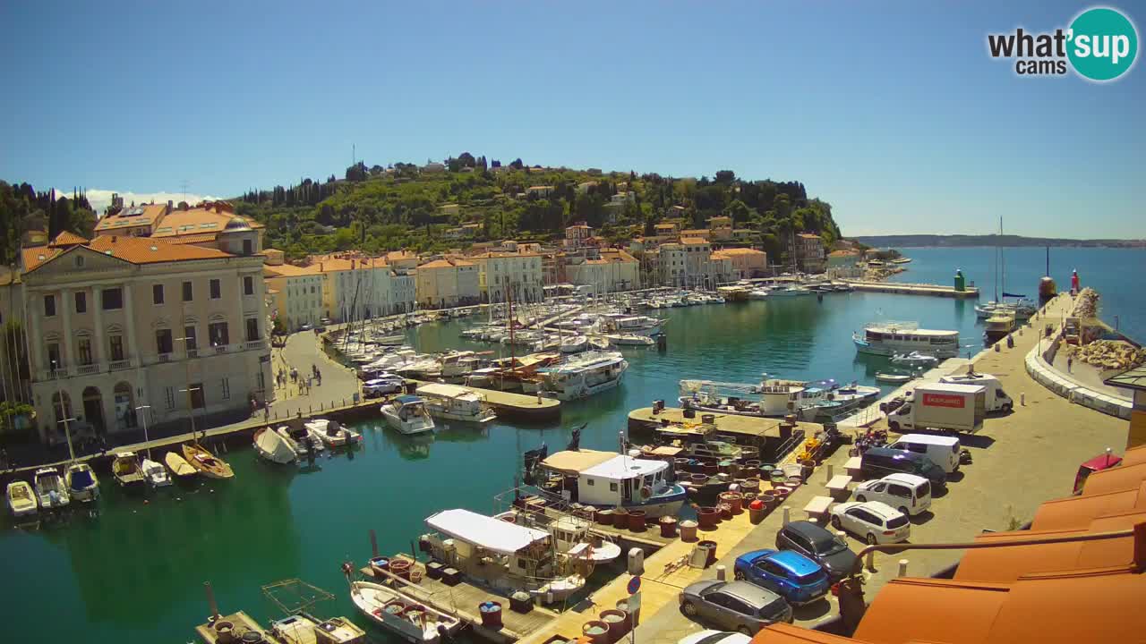 Live webcam da Pirano “Mandrač” – Splendida vista live da Villa Piranesi