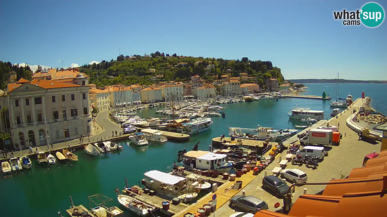 Live-Webcam aus Piran “Mandrač” – Erstaunliche Live-Ansicht von Villa Piranesi