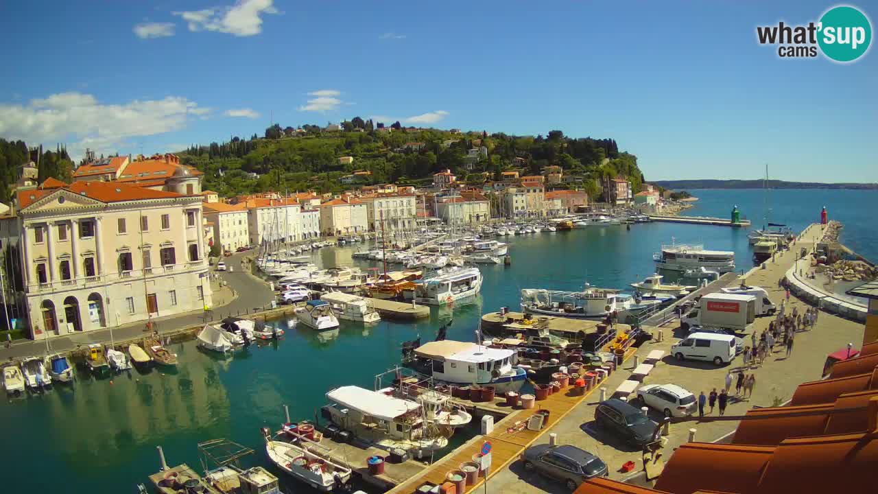 Live webcam da Pirano “Mandrač” – Splendida vista live da Villa Piranesi