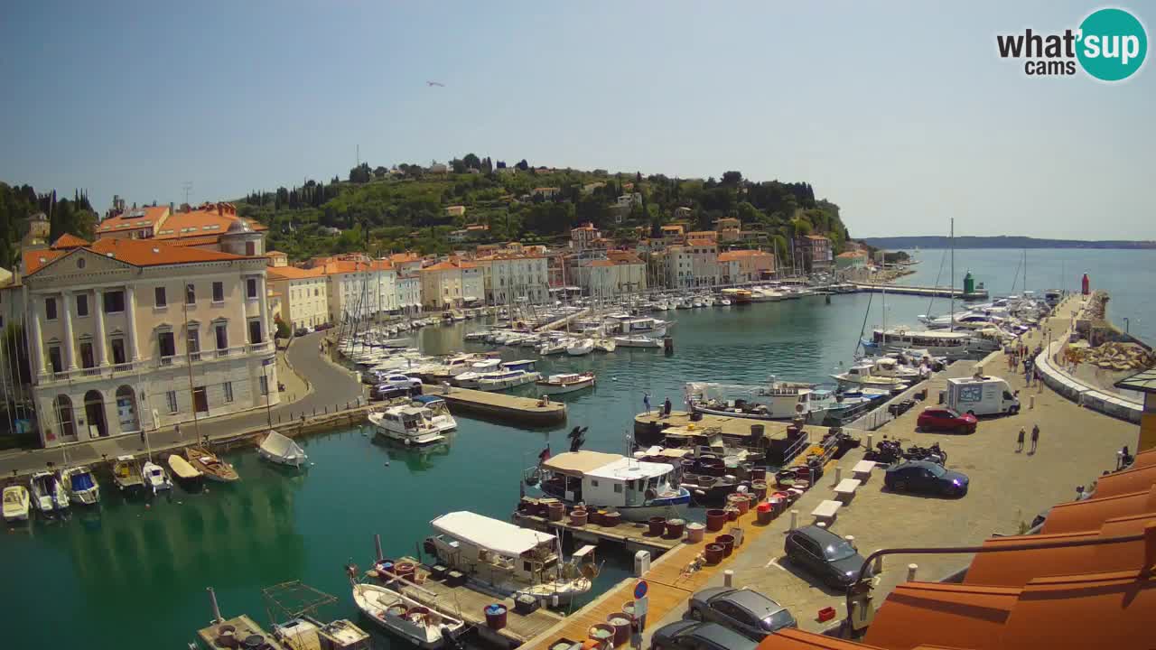 Webcam en direct de Piran “Mandrač” – Incroyable vue en direct de la Villa Piranesi