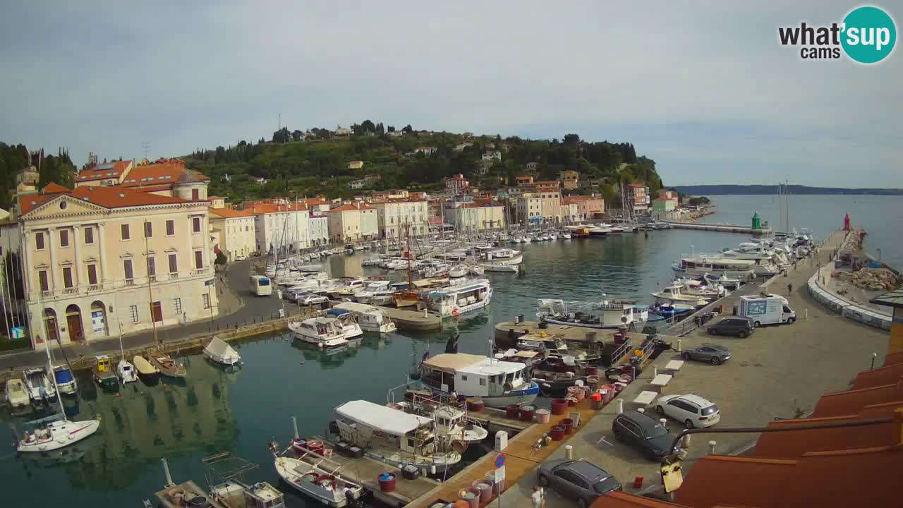 Live webcam from Piran “Mandrač” – Amazing live view from Villa Piranesi