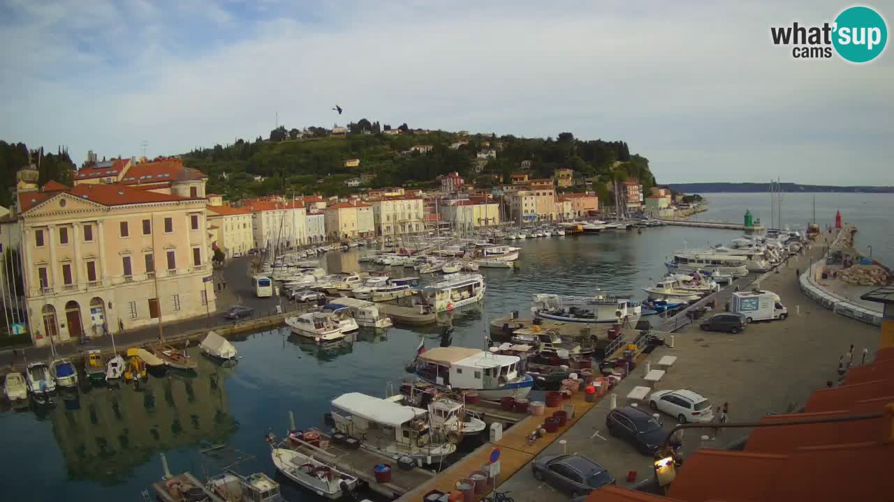 Live webcam from Piran “Mandrač” – Amazing live view from Villa Piranesi
