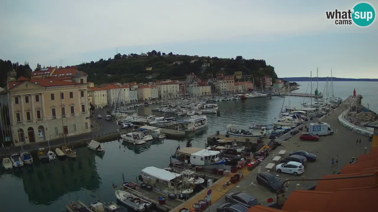 Live webcam da Pirano “Mandrač” – Splendida vista live da Villa Piranesi