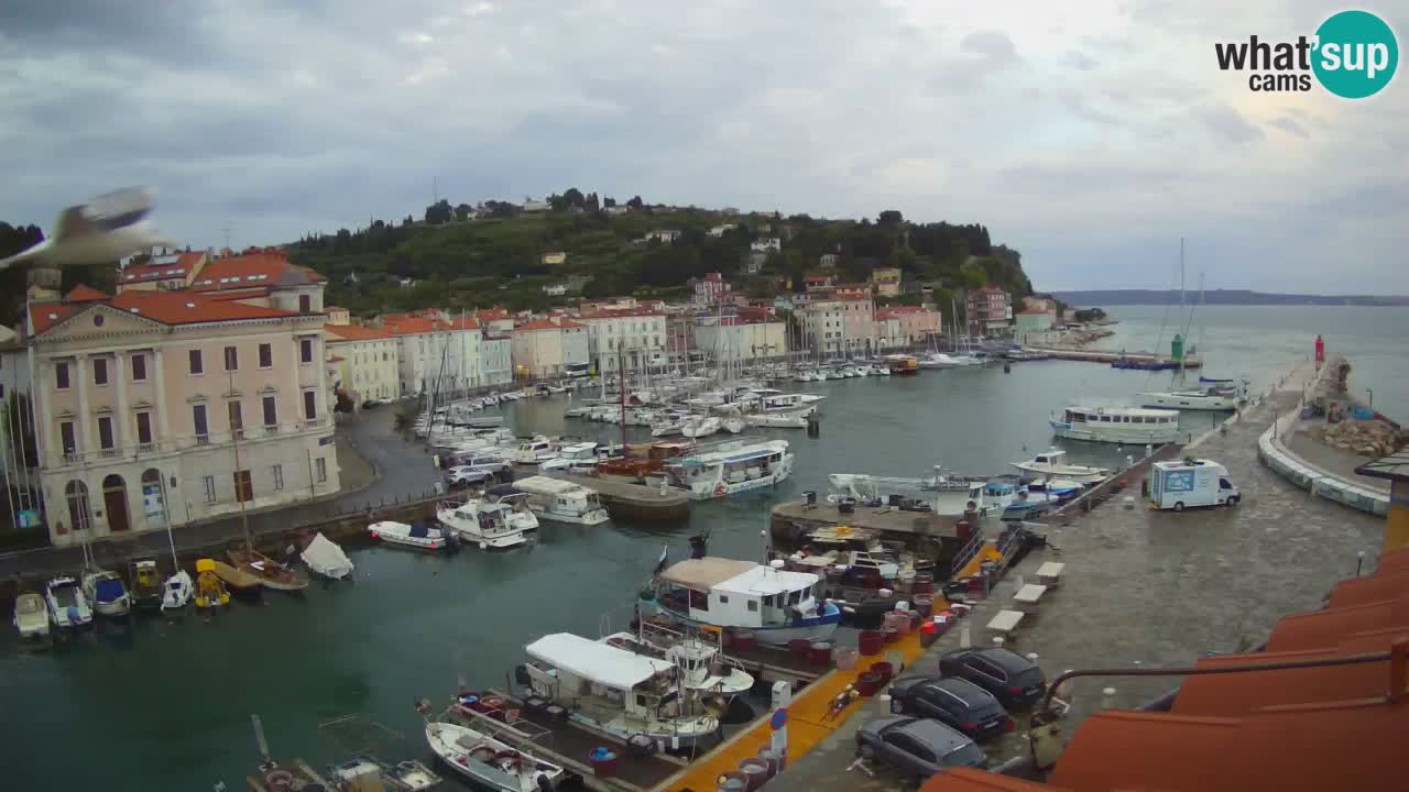 Live-Webcam aus Piran “Mandrač” – Erstaunliche Live-Ansicht von Villa Piranesi