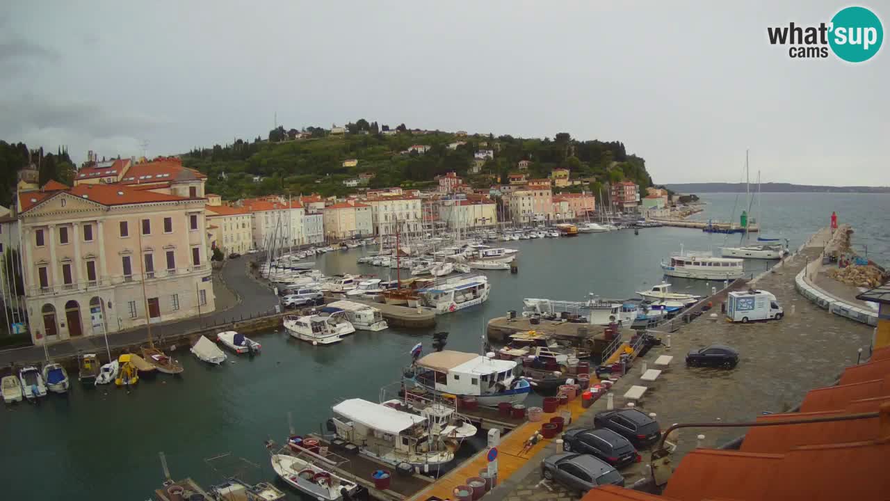 Live webcam da Pirano “Mandrač” – Splendida vista live da Villa Piranesi