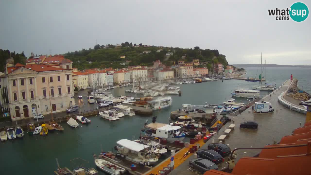 Webcam en direct de Piran “Mandrač” – Incroyable vue en direct de la Villa Piranesi