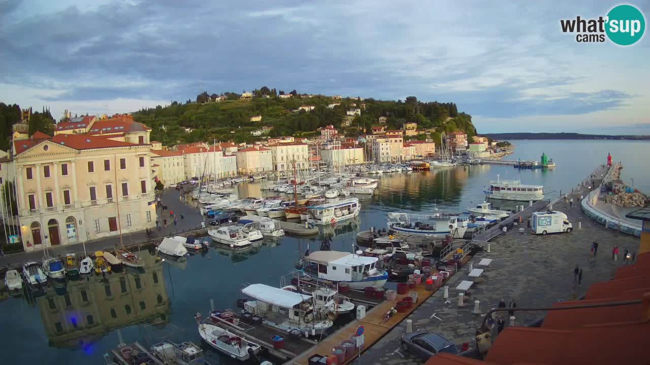 Web kamera uživo iz Pirana “Mandrač” – Nevjerojatan pogled uživo iz Ville Piranesi