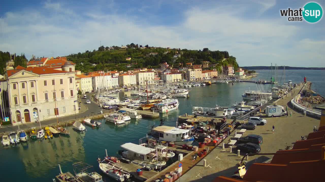 Web kamera uživo iz Pirana “Mandrač” – Nevjerojatan pogled uživo iz Ville Piranesi