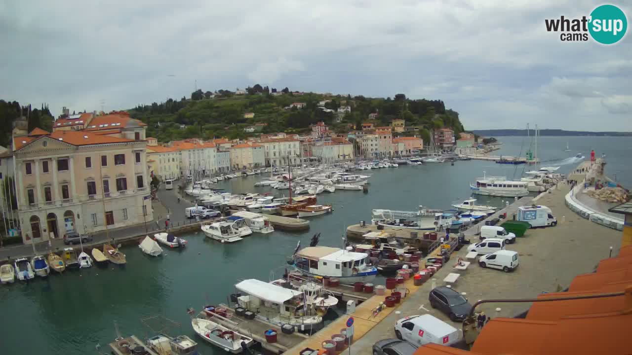 Live webcam da Pirano “Mandrač” – Splendida vista live da Villa Piranesi