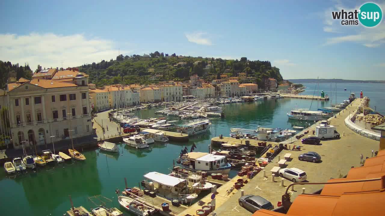 Webcam en direct de Piran “Mandrač” – Incroyable vue en direct de la Villa Piranesi