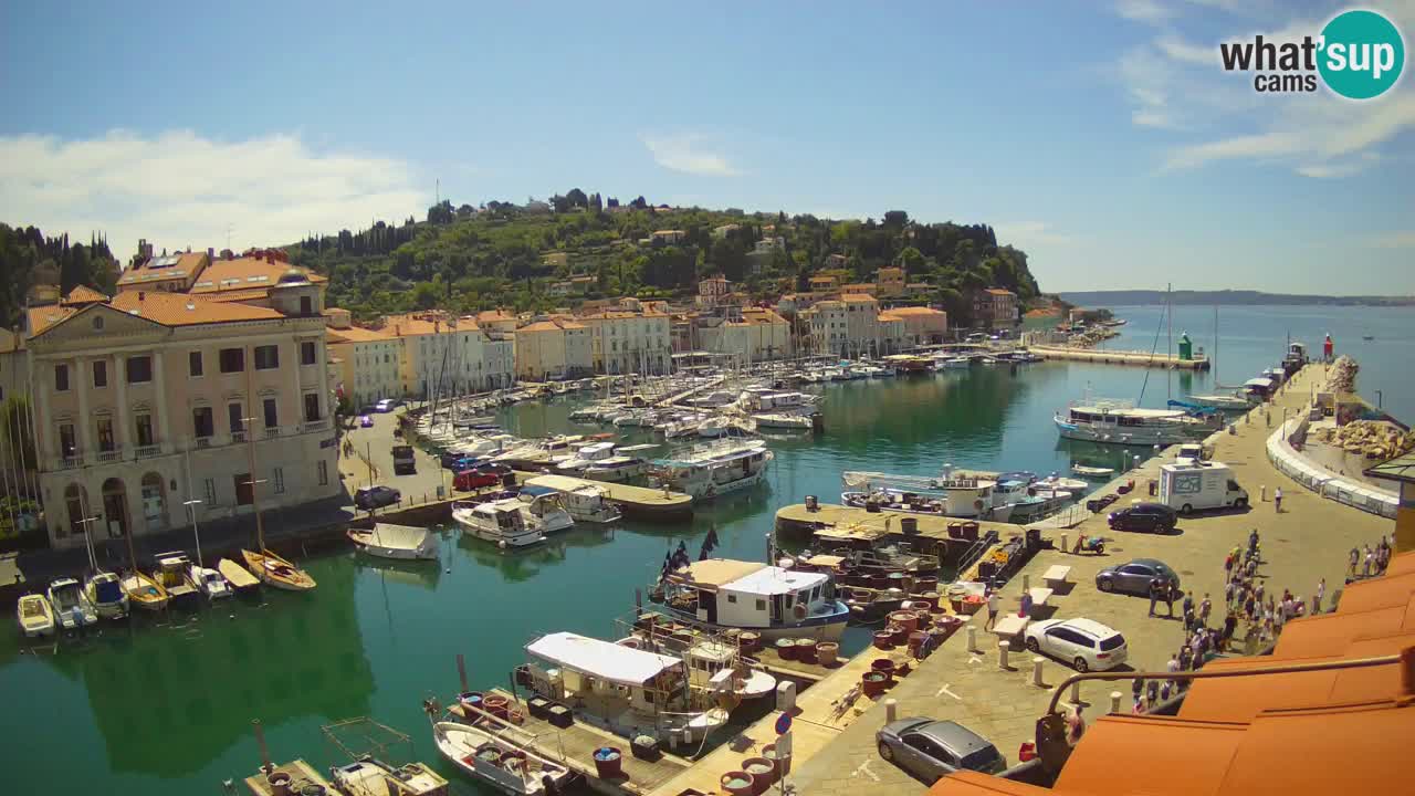 Live webcam da Pirano “Mandrač” – Splendida vista live da Villa Piranesi