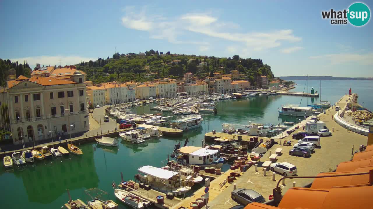 Live webcam da Pirano “Mandrač” – Splendida vista live da Villa Piranesi