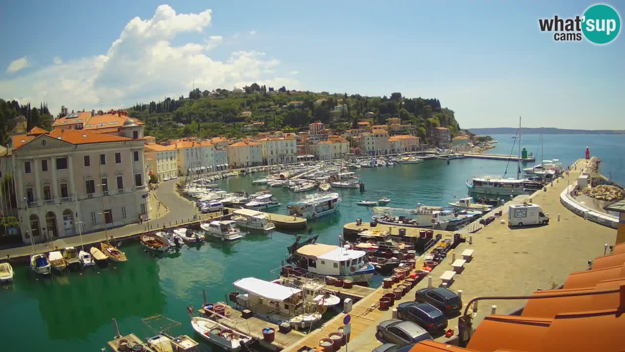 Live webcam from Piran “Mandrač” – Amazing live view from Villa Piranesi