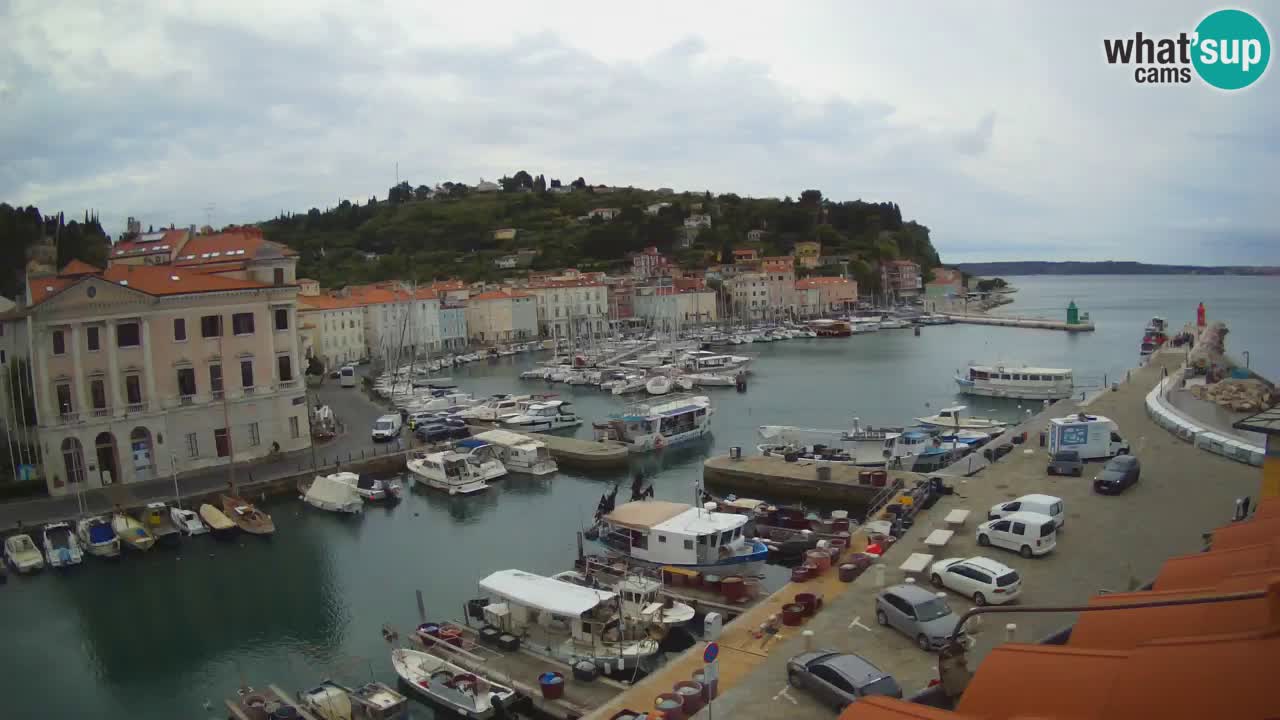 Live webcam da Pirano “Mandrač” – Splendida vista live da Villa Piranesi