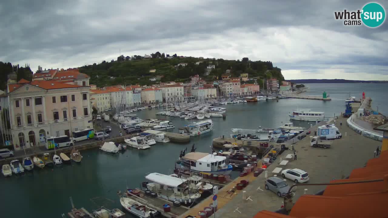 Live webcam from Piran “Mandrač” – Amazing live view from Villa Piranesi