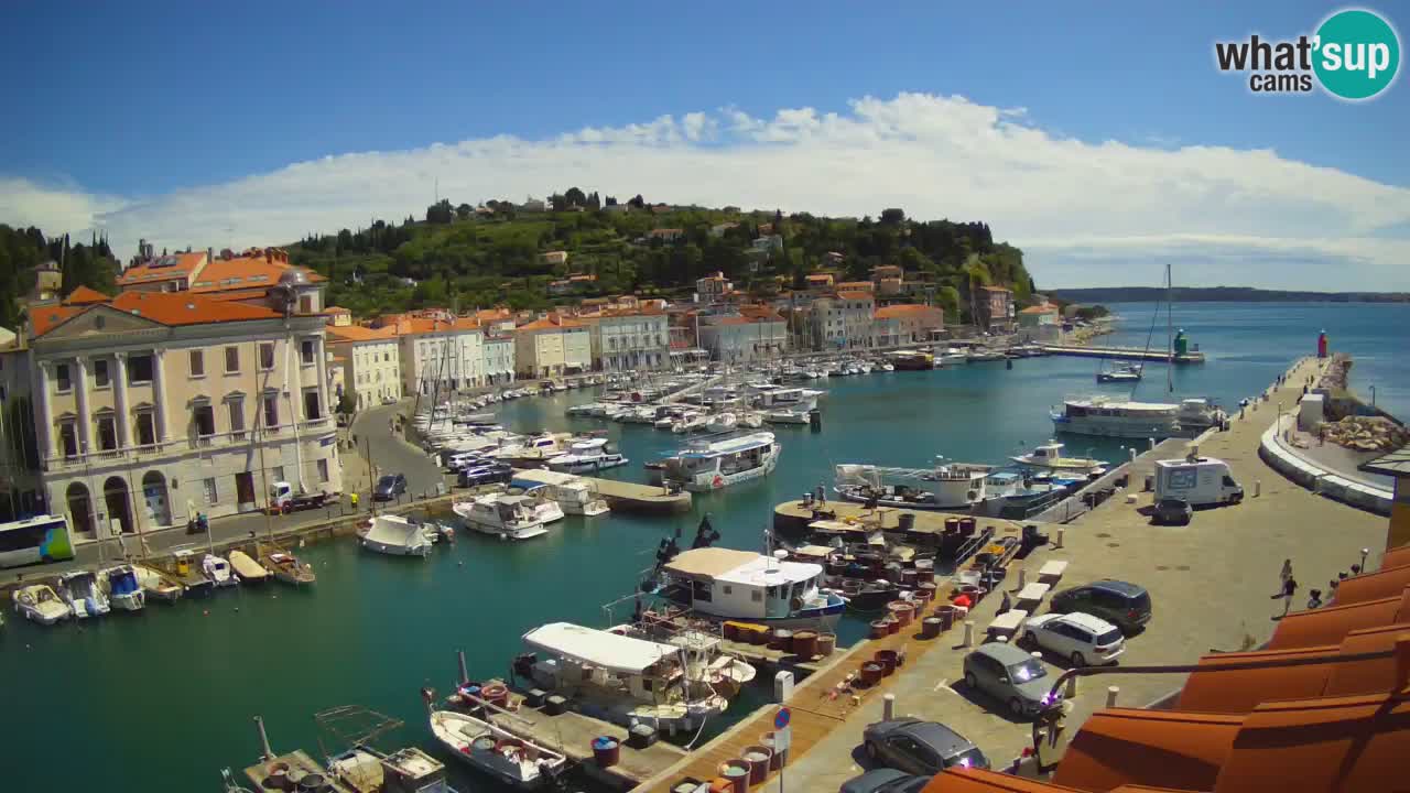 Live webcam da Pirano “Mandrač” – Splendida vista live da Villa Piranesi
