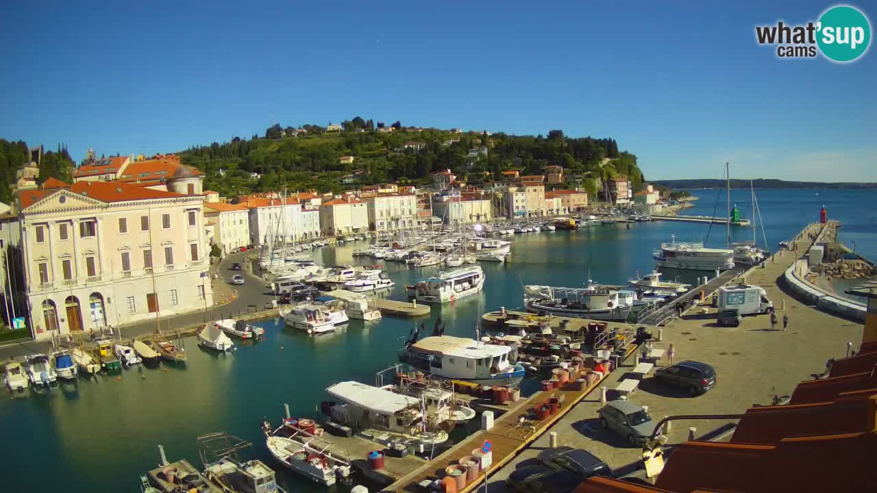 Live webcam da Pirano “Mandrač” – Splendida vista live da Villa Piranesi