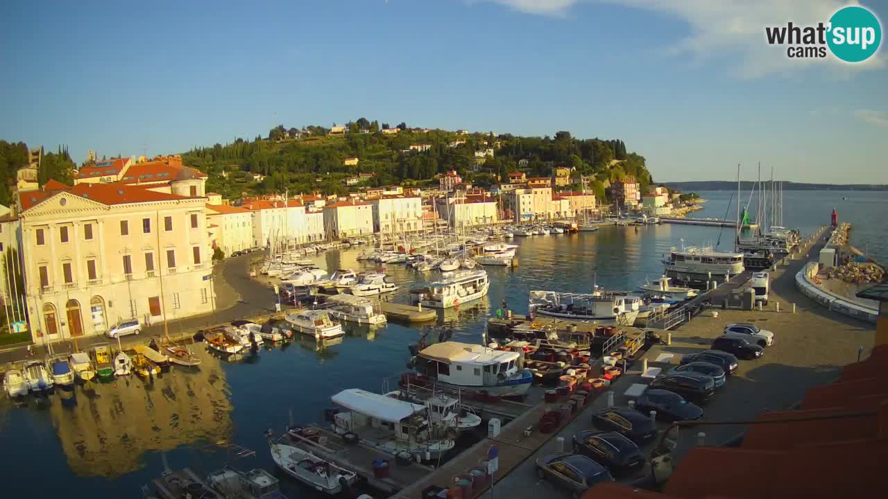 Web kamera uživo iz Pirana “Mandrač” – Nevjerojatan pogled uživo iz Ville Piranesi