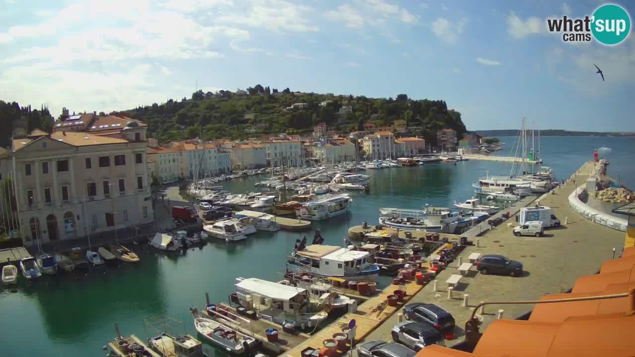 Live-Webcam aus Piran “Mandrač” – Erstaunliche Live-Ansicht von Villa Piranesi