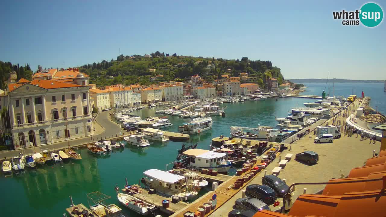 Live webcam da Pirano “Mandrač” – Splendida vista live da Villa Piranesi