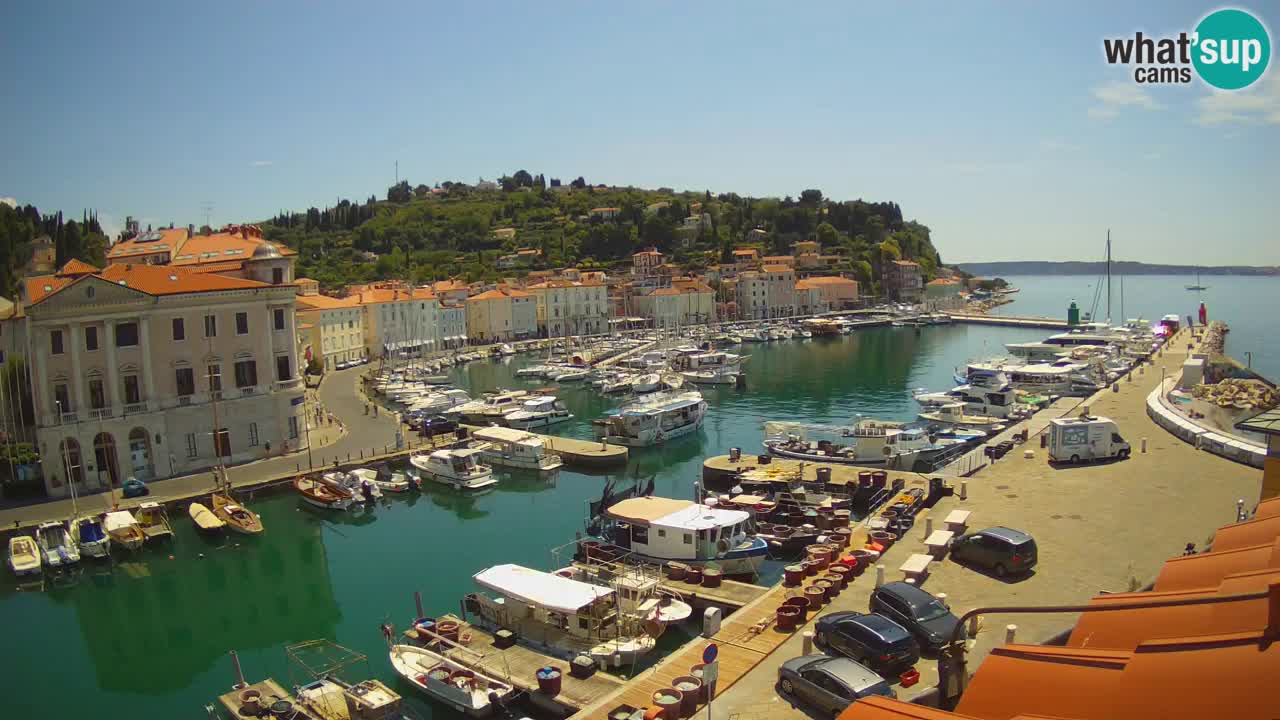 Webcam en direct de Piran “Mandrač” – Incroyable vue en direct de la Villa Piranesi