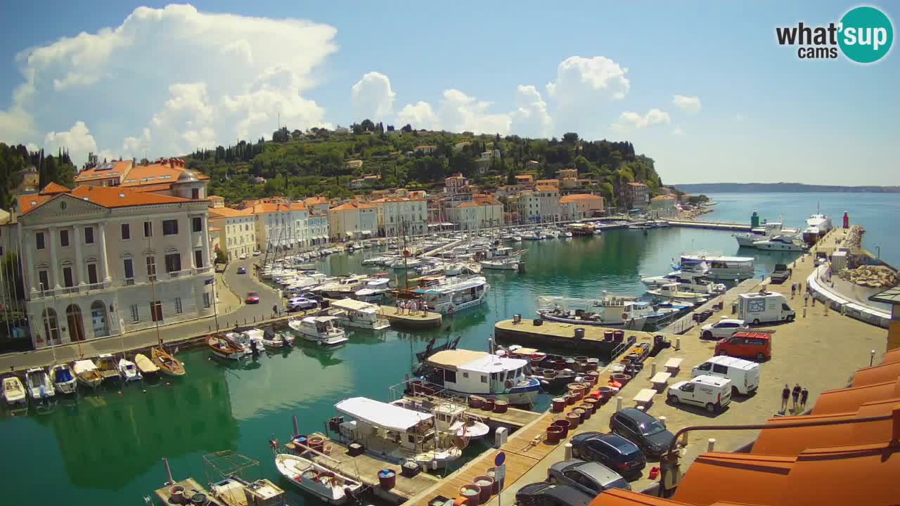 Web kamera uživo iz Pirana “Mandrač” – Nevjerojatan pogled uživo iz Ville Piranesi
