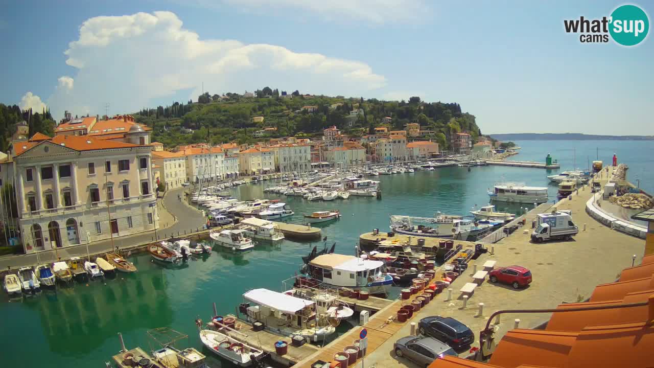 Web kamera uživo iz Pirana “Mandrač” – Nevjerojatan pogled uživo iz Ville Piranesi