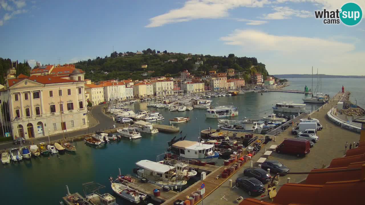 Live webcam da Pirano “Mandrač” – Splendida vista live da Villa Piranesi