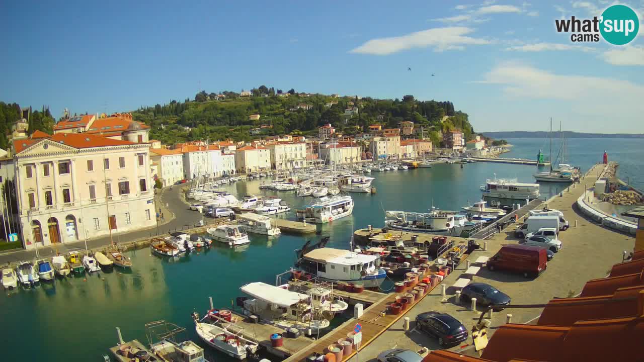 Live-Webcam aus Piran “Mandrač” – Erstaunliche Live-Ansicht von Villa Piranesi