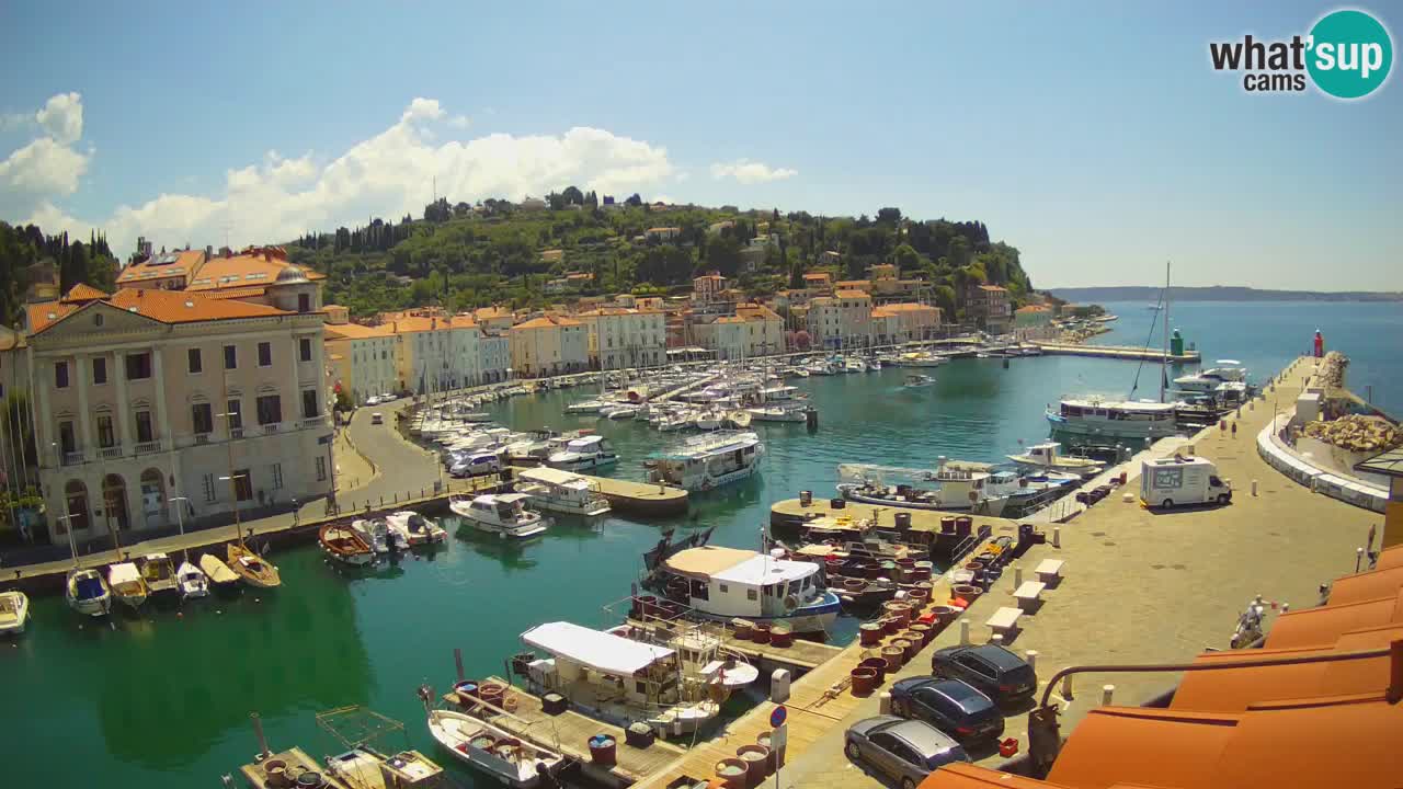 Live webcam from Piran “Mandrač” – Amazing live view from Villa Piranesi
