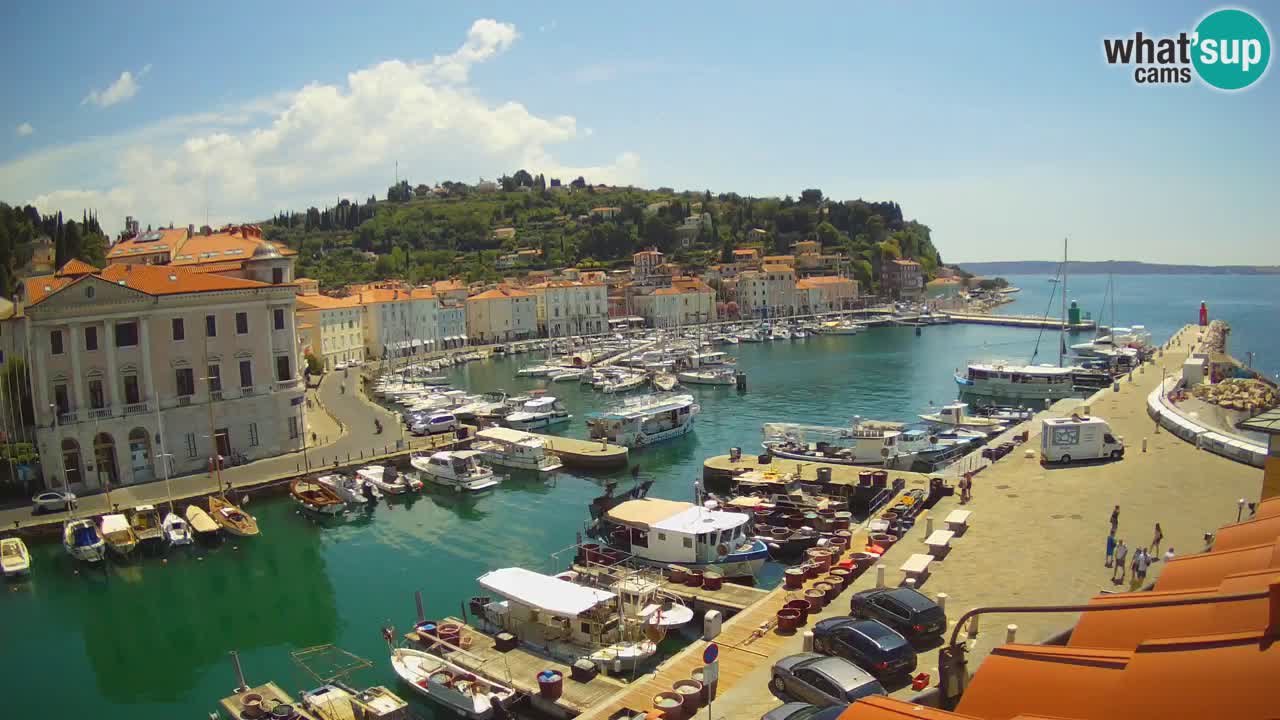 Live webcam da Pirano “Mandrač” – Splendida vista live da Villa Piranesi