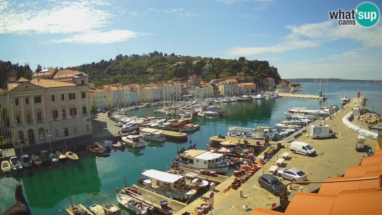Live webcam from Piran “Mandrač” – Amazing live view from Villa Piranesi
