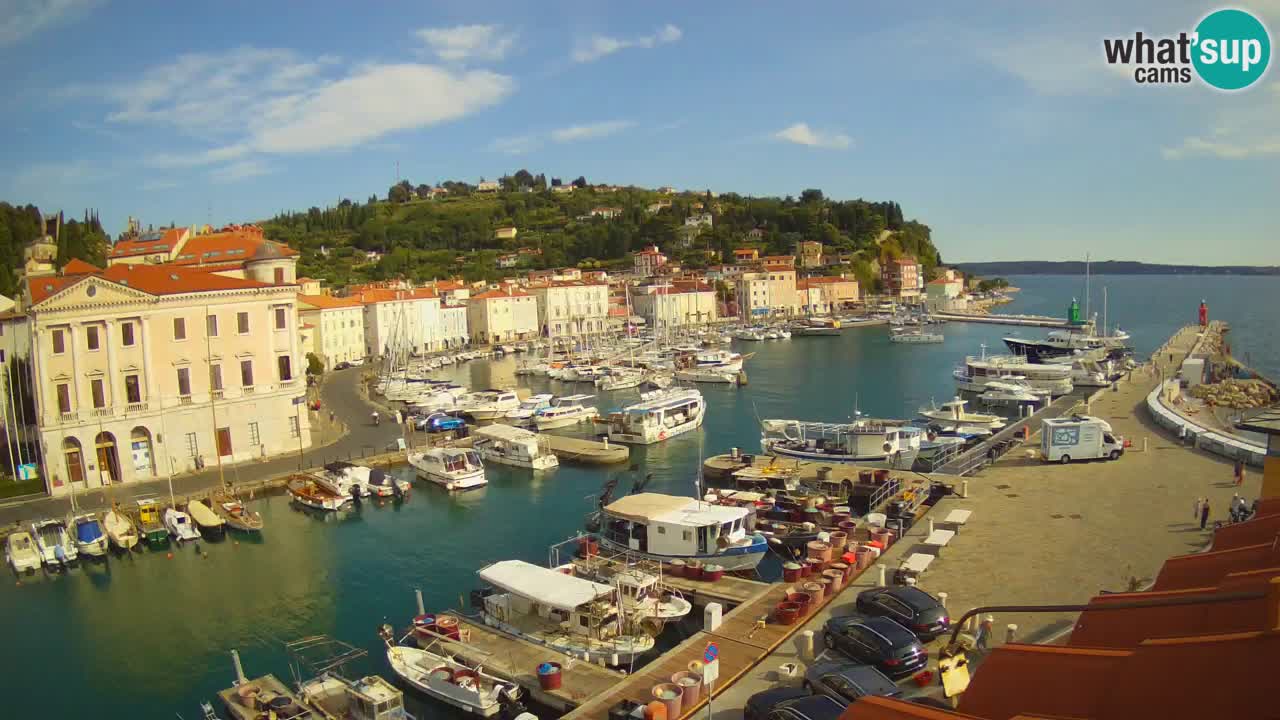 Iz Pirana Spletna kamera v živo “Mandrač” – Neverjeten pogled v živo iz Vile Piranesi