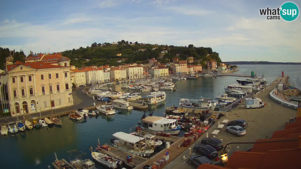 Iz Pirana Spletna kamera v živo “Mandrač” – Neverjeten pogled v živo iz Vile Piranesi
